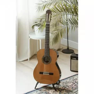 قیمت و خرید گیتار ریموندو 129